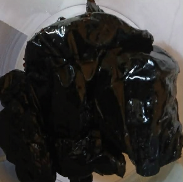 شيلاجيت – إكسير الشباب