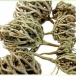 كف مريم (صديقة حواء)